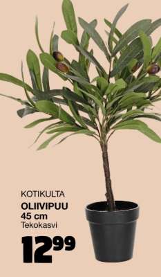 Kotikulta Oliivipuu