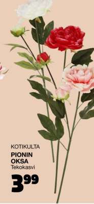 KOTIKULTA PIONIN OKSA