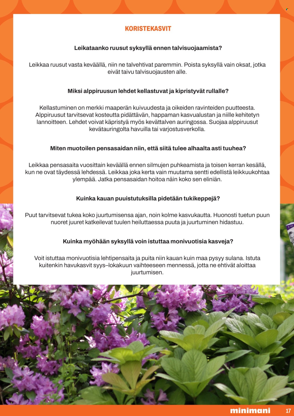 Minimani tarjoukset. Sivu 17
