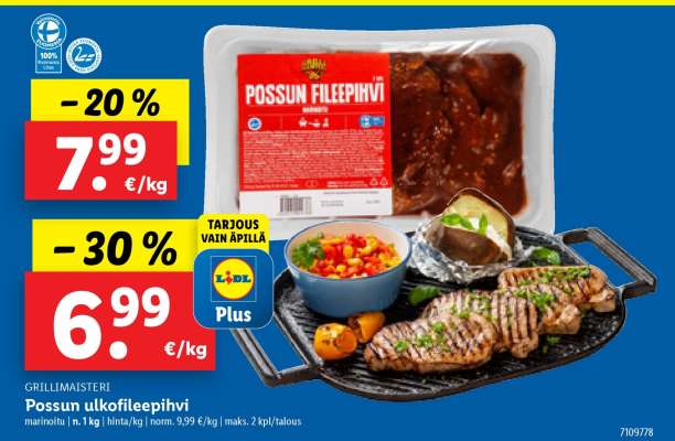 Possun ulkofileepihvi
