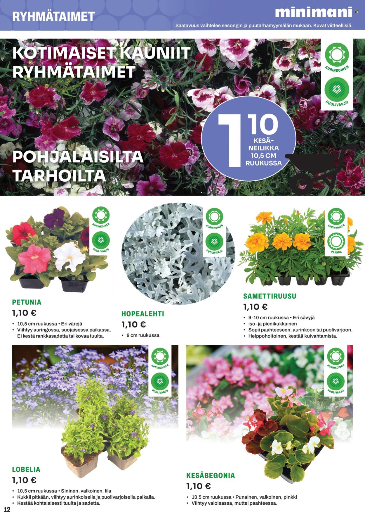 Minimani tarjoukset. Sivu 1