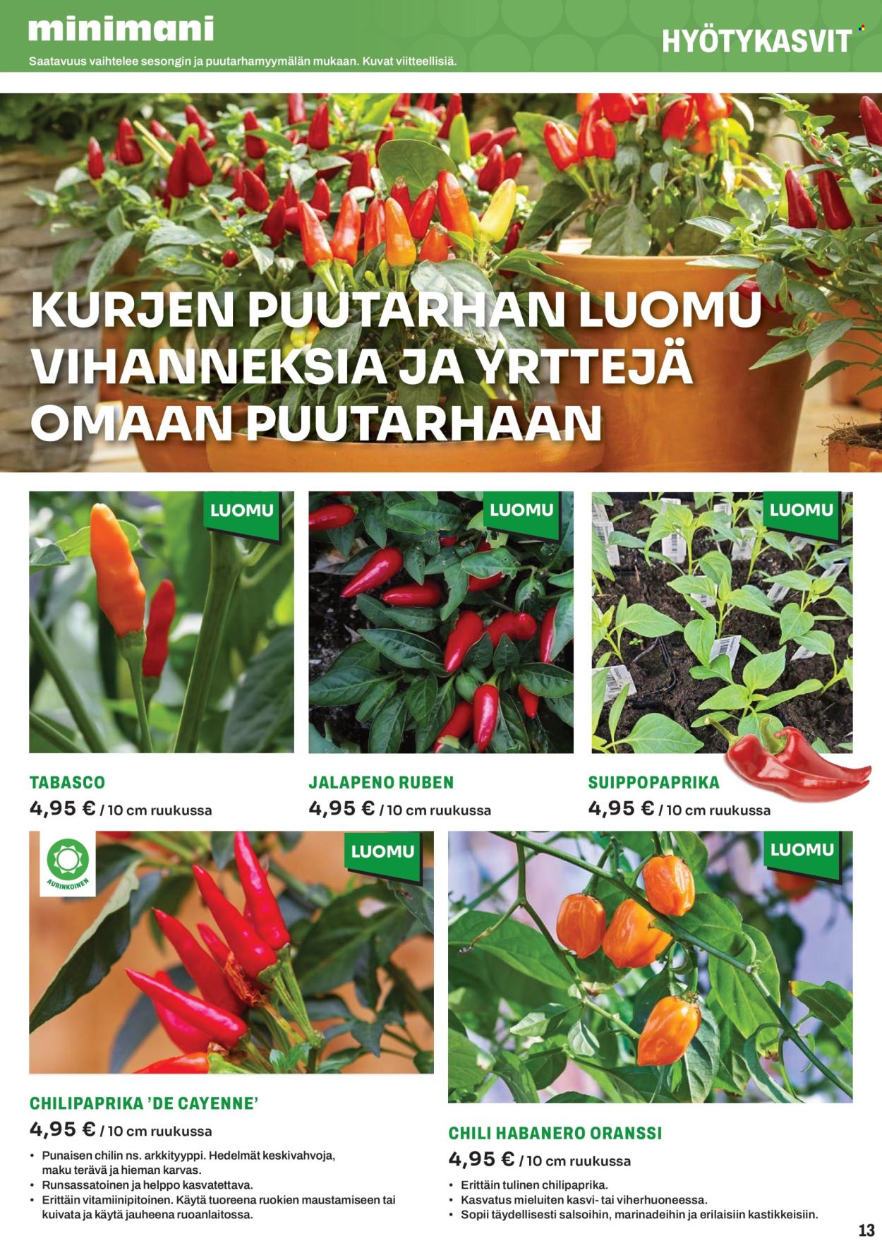 Minimani tarjoukset. Sivu 1