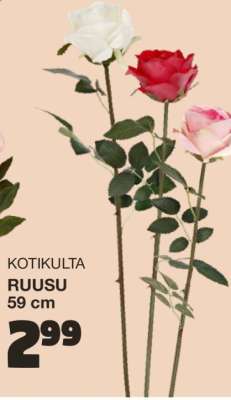 KOTIKULTA RUUSU