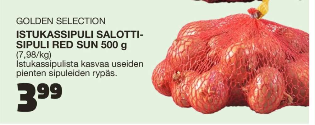 ISTUKASSIPULI SALOTTISIPULI RED SUN 500 g