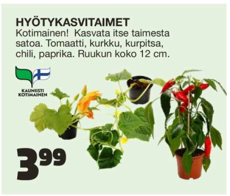 HYÖTYKASVITAIMET