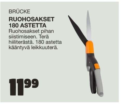 BRÜCKE RUOHOSAKSET 180 ASTETTA