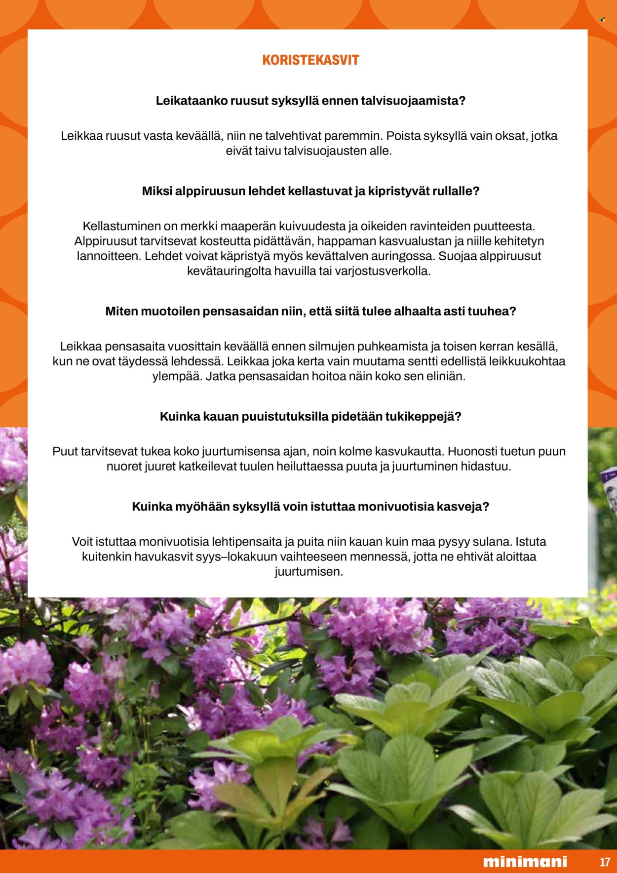 Minimani tarjoukset. Sivu 17