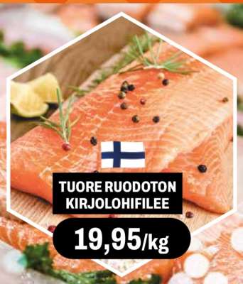 TUORE RUODOTON KIRJOLOHIFILEE