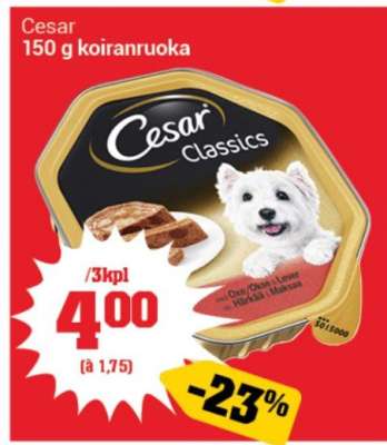 Cesar