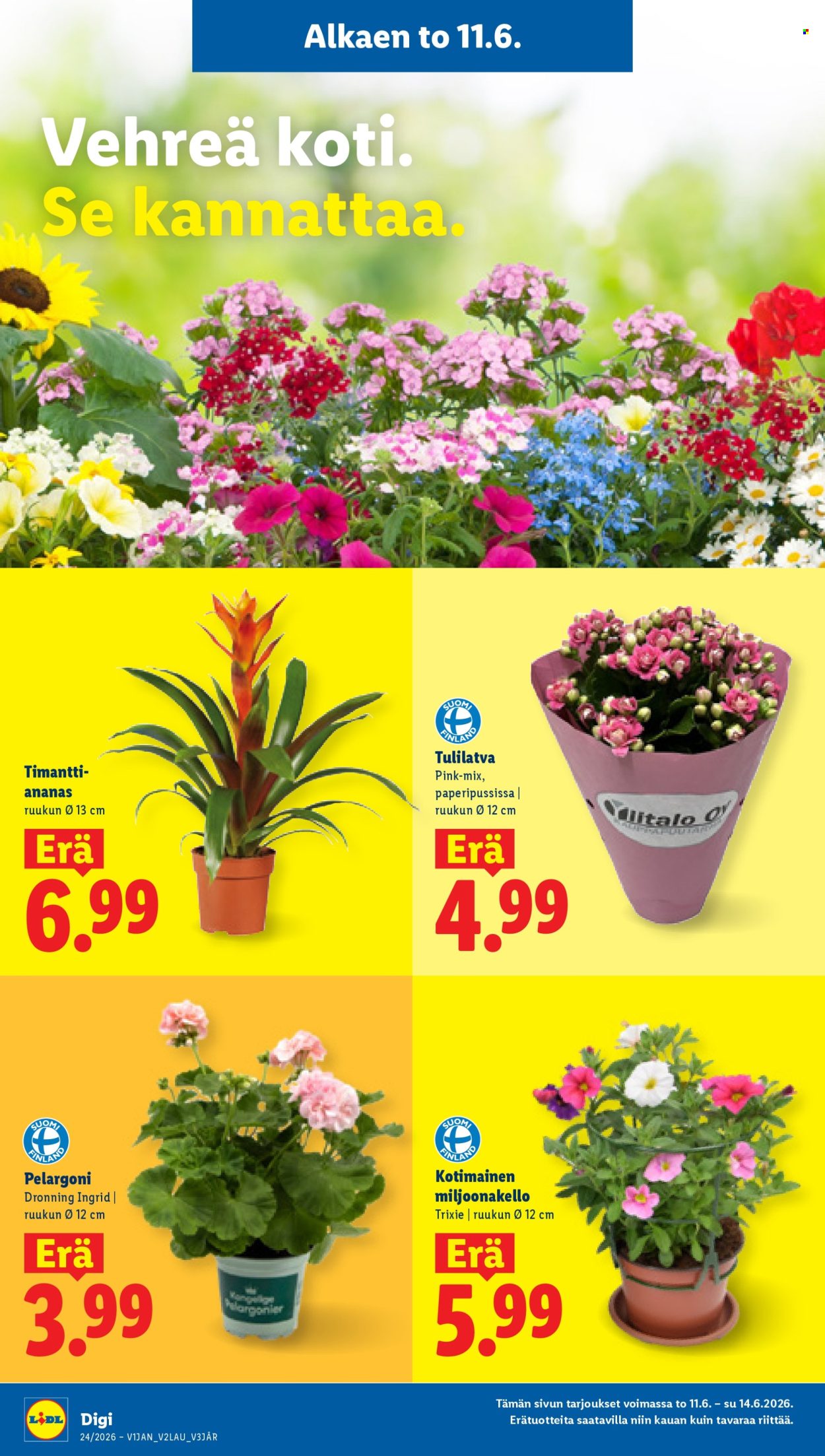 Lidl tarjoukset - 11.06.2026 - 16.06.2026. Sivu 20
