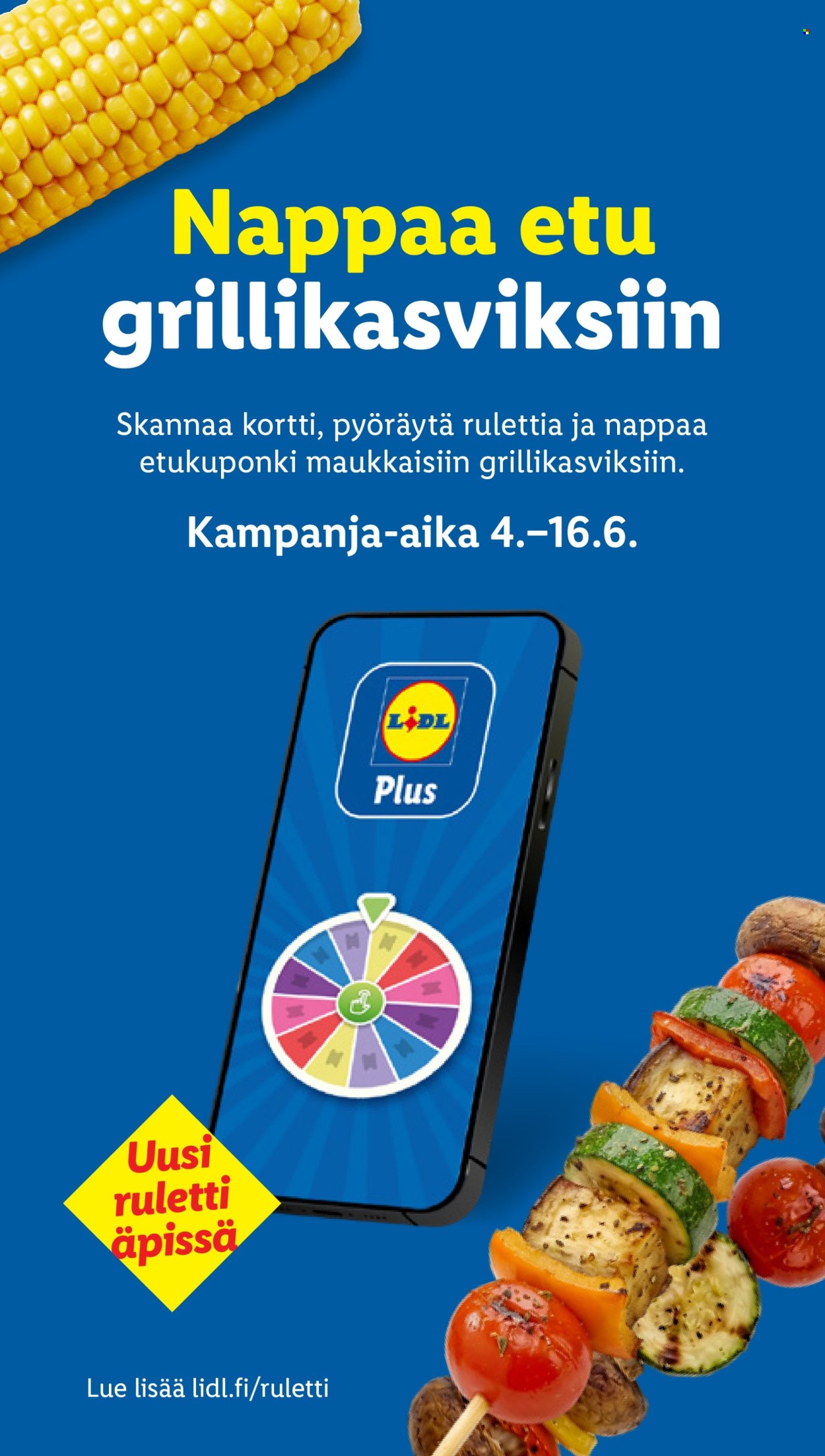 Lidl tarjoukset - 11.06.2026 - 16.06.2026. Sivu 22