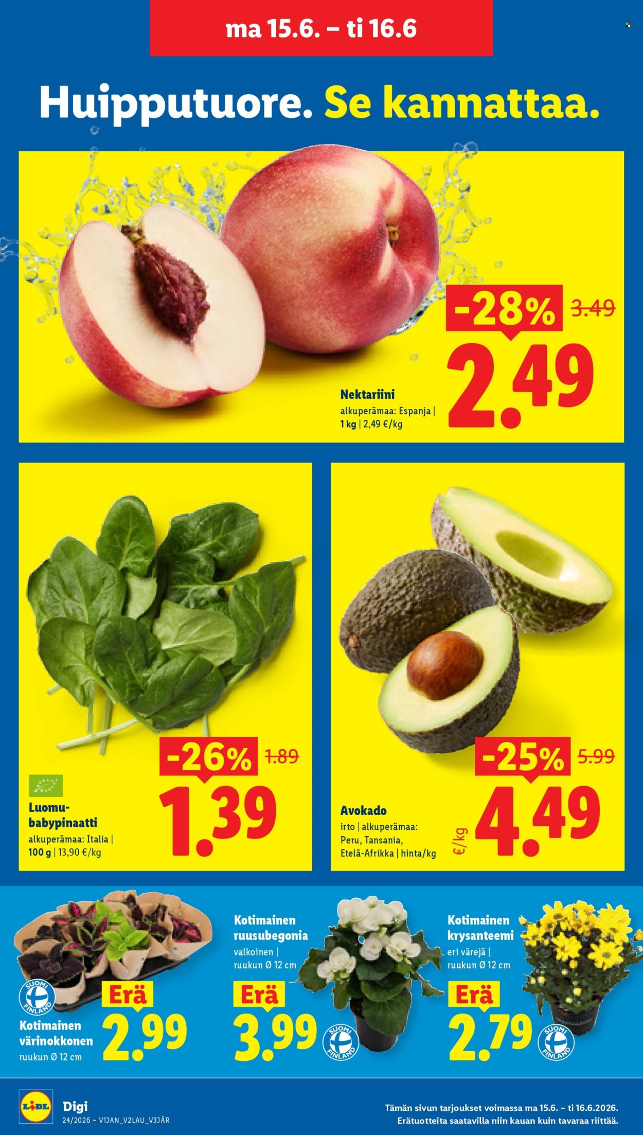 Lidl tarjoukset - 11.06.2026 - 16.06.2026. Sivu 23