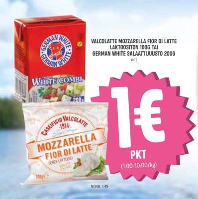 VALCOLATTE MOZZARELLA FIOR DI LATTE LAKTOOSITON 100G TAI GERMAN WHITE SALAATTIJUUSTO 200G