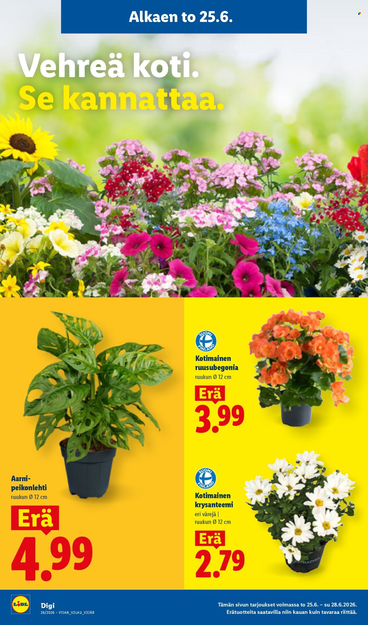 Lidl tarjoukset - 25.06.2026 - 01.07.2026. Sivu 15