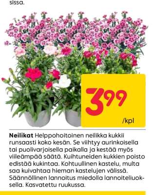 NEILIKAT