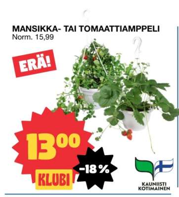 MANSIKKA- TAI TOMAATTIAMPPELI