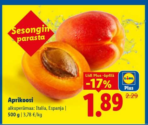 Aprikoosi