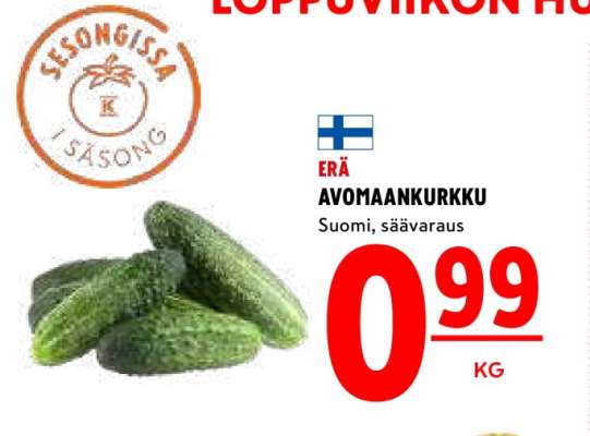 AVOMAANKURKKU