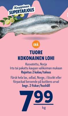 TUORE KOKONAINEN LOHI