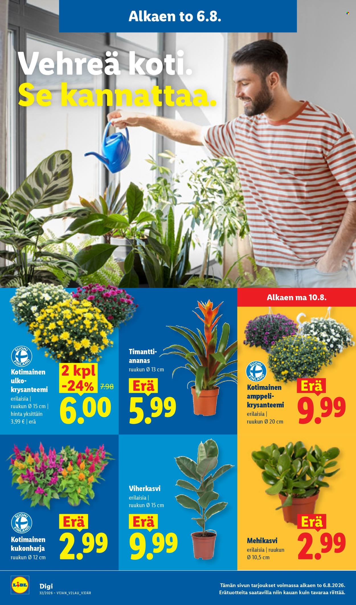 Lidl tarjoukset - 06.08.2026 - 12.08.2026. Sivu 13