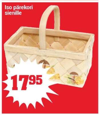 Iso pärekori sienille