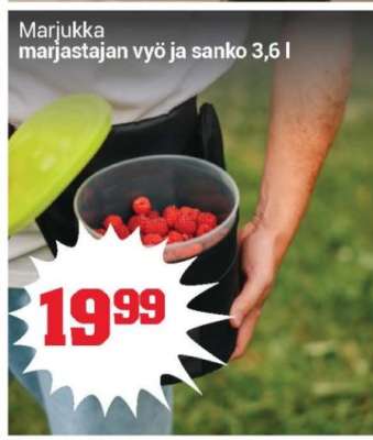 Marjukka