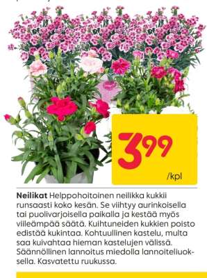 NEILIKAT