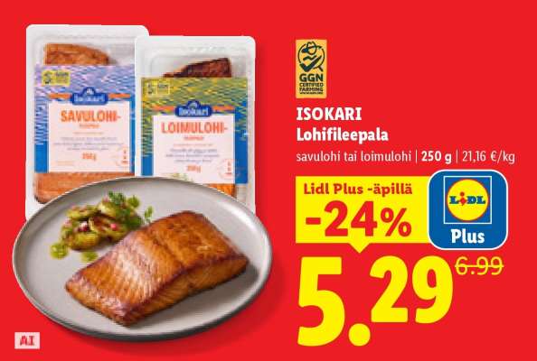 ISOKARI Lohifileepala