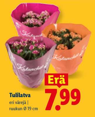 TULILATVA