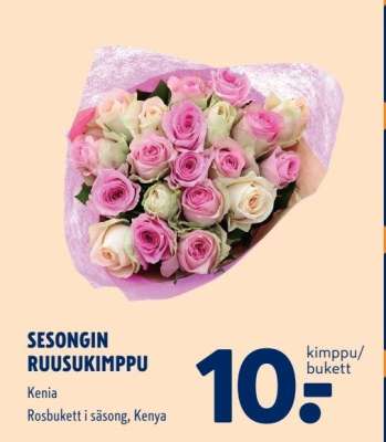 SESONGIN RUUSUKIMPPU