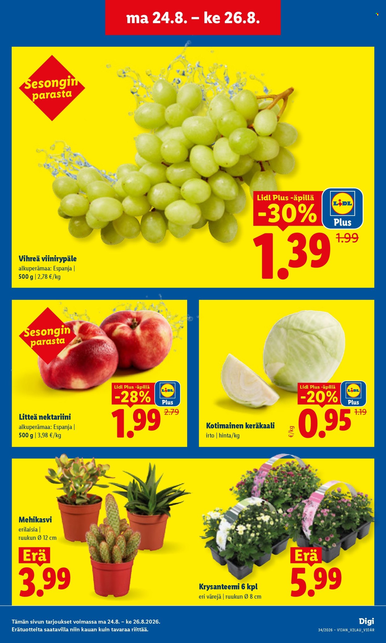Lidl tarjoukset - 24.08.2026 - 26.08.2026. Sivu 3