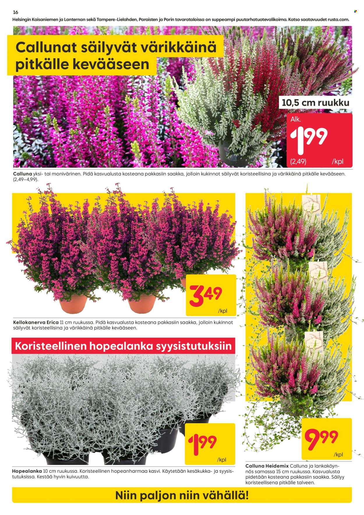 Rusta tarjoukset - 24.08.2026 - 30.08.2026. Sivu 16