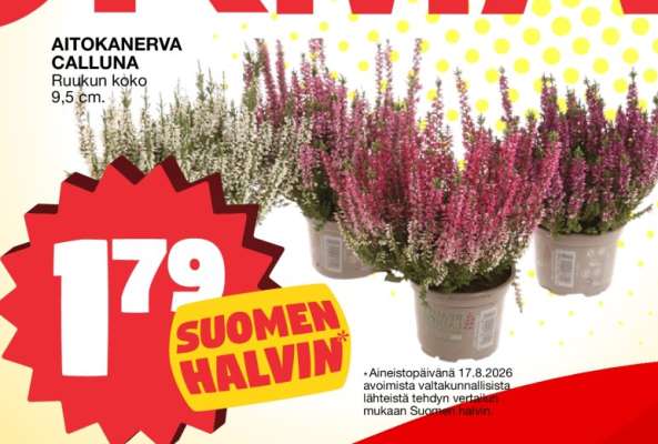 AITOKANERVA CALLUNA