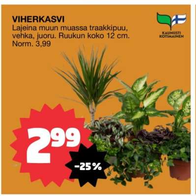 Viherkasvi