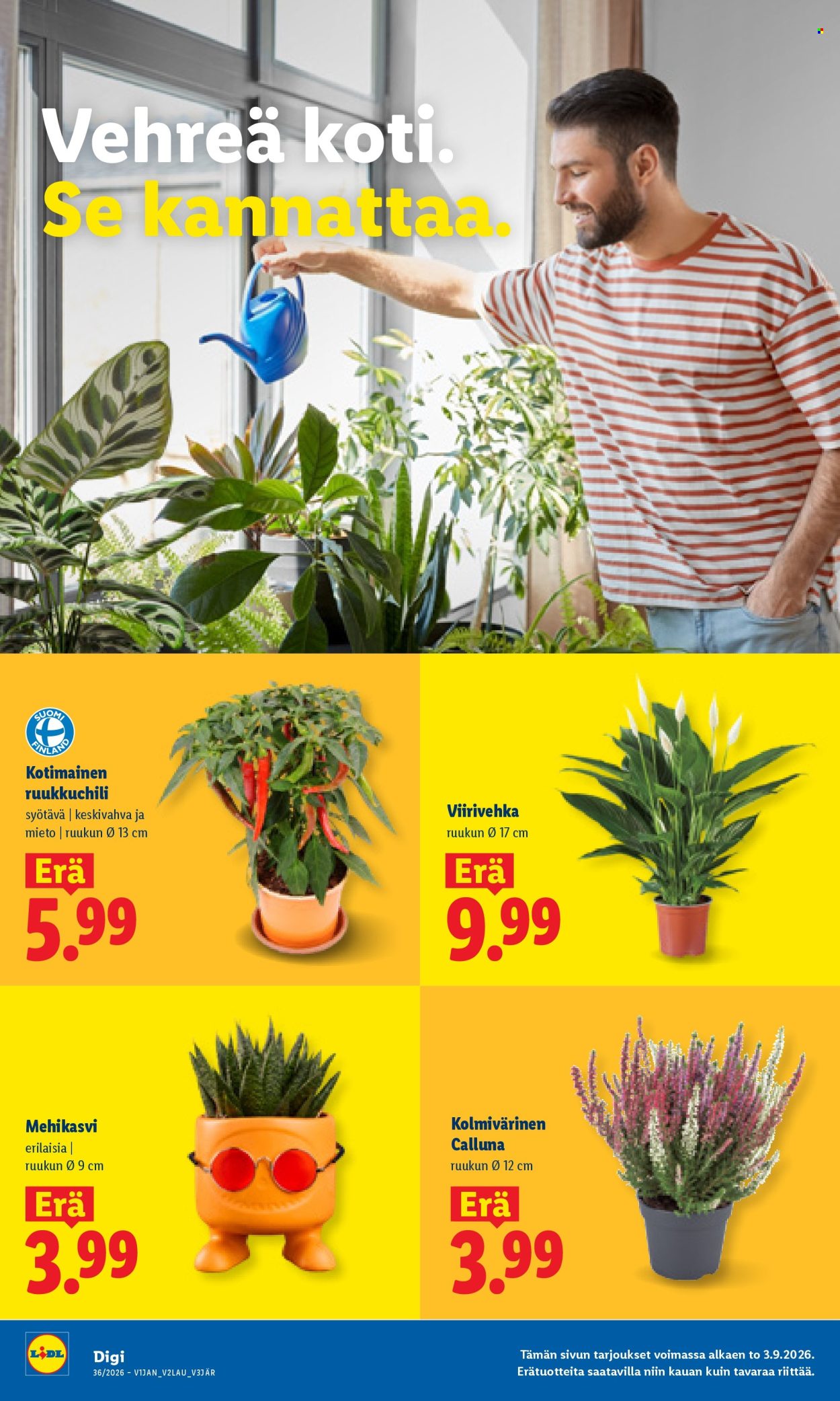 Lidl tarjoukset - 03.09.2026 - 06.09.2026. Sivu 24