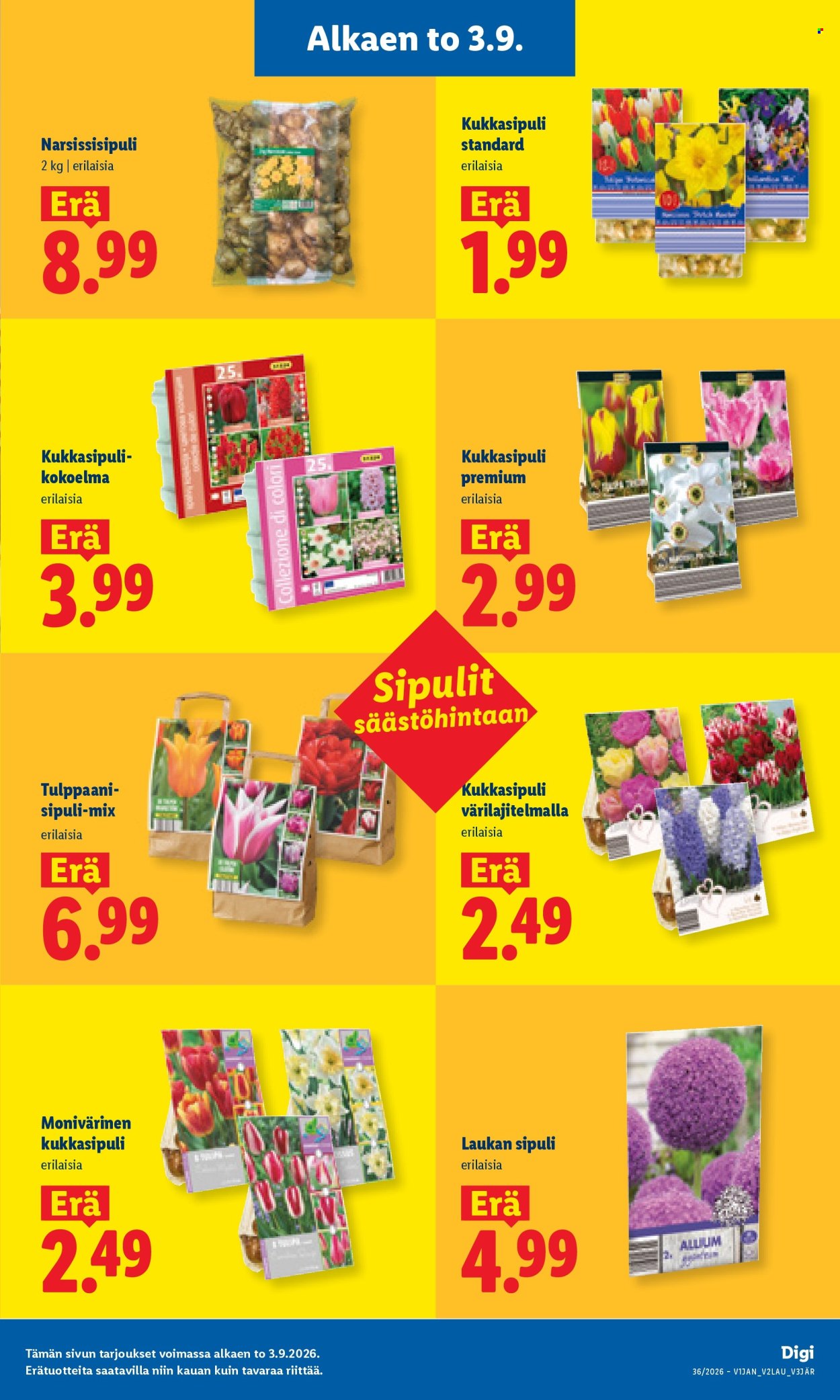 Lidl tarjoukset - 03.09.2026 - 06.09.2026. Sivu 25