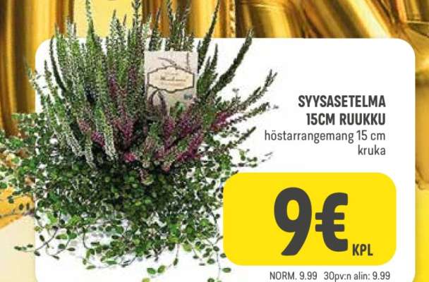 SYYSASETELMA 15CM RUUKKU