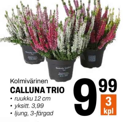 CALLUNA TRIO