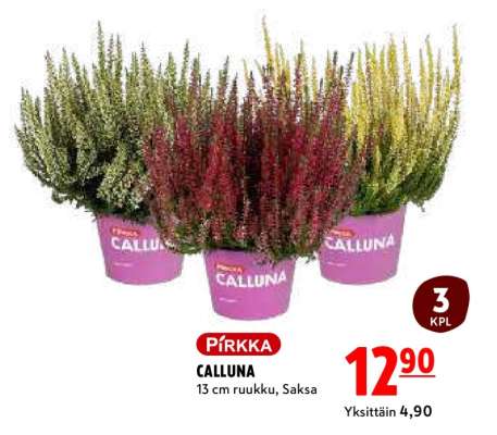 PIRKKA CALLUNA