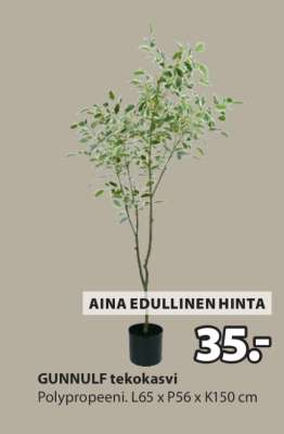 GUNNULF tekokasvi