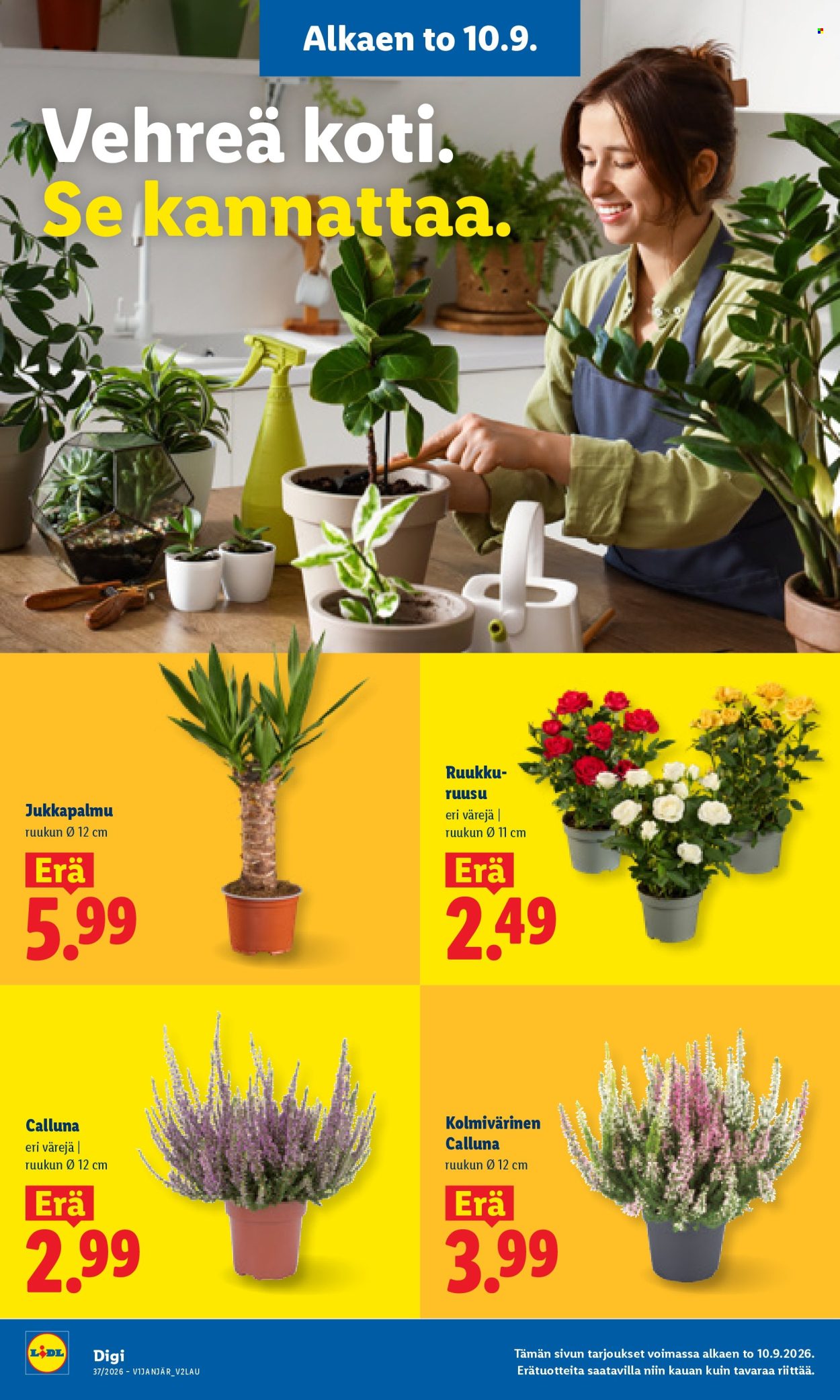 Lidl tarjoukset - 10.09.2026 - 13.09.2026. Sivu 23