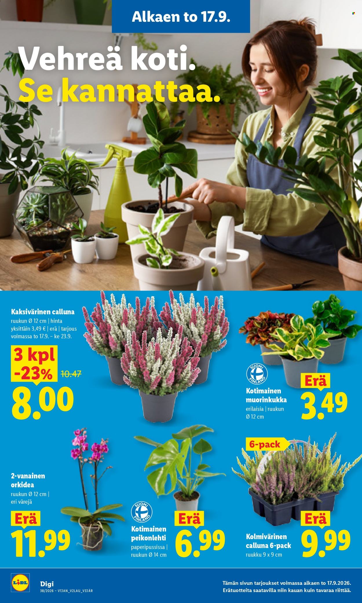 Lidl tarjoukset - 17.09.2026 - 20.09.2026. Sivu 18