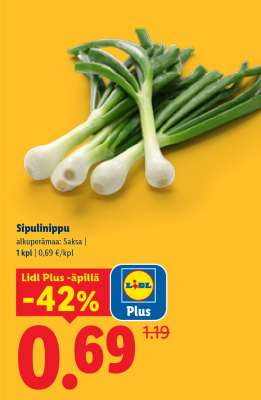 Sipulinippu