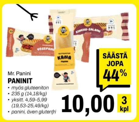 Mr. Panini Paninit