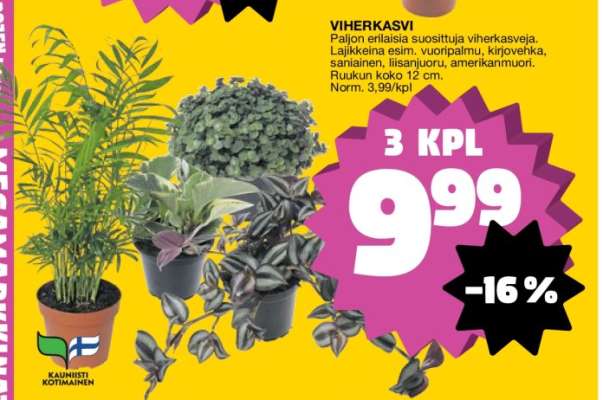 Viherkasvi