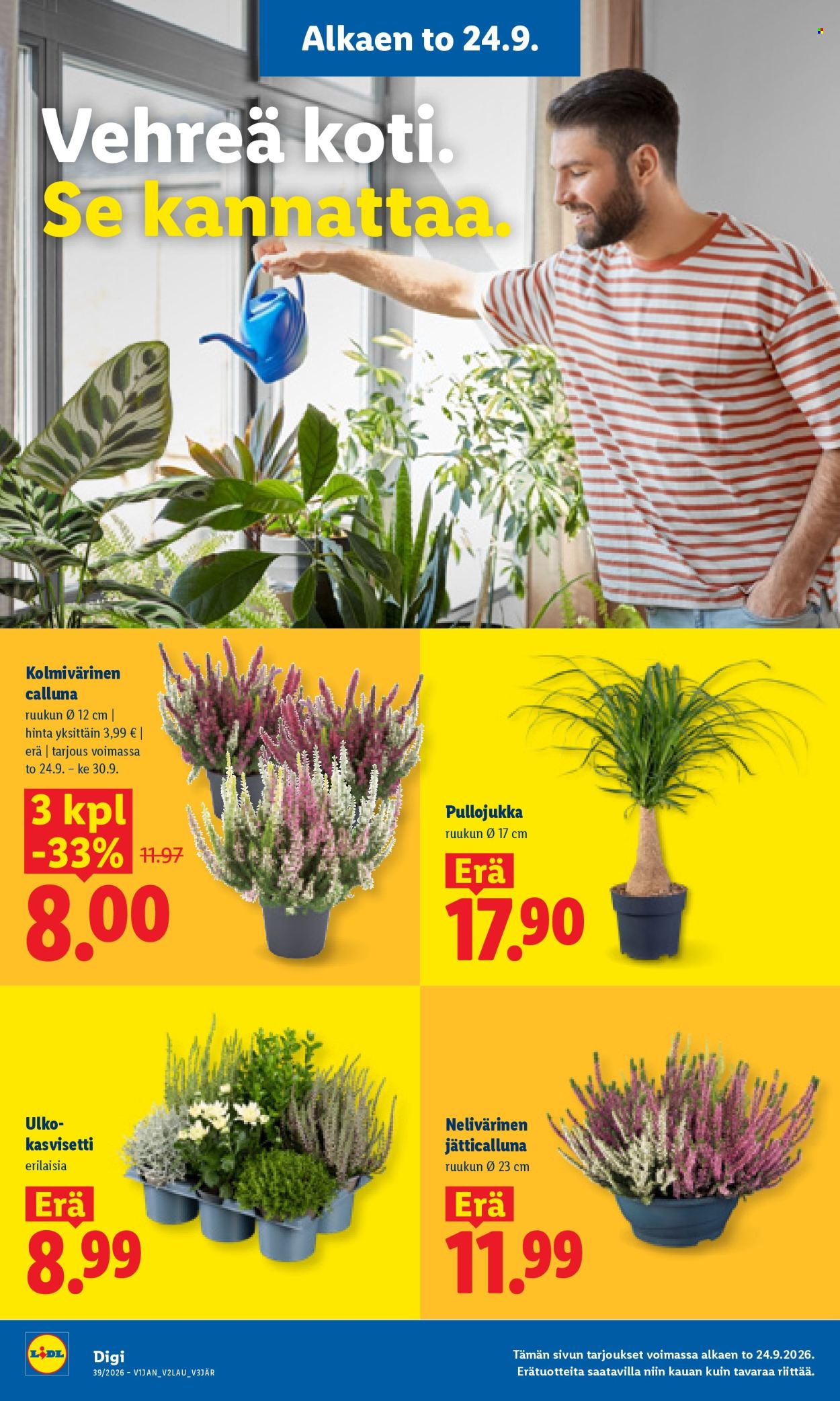 Lidl tarjoukset - 24.09.2026 - 27.09.2026. Sivu 20