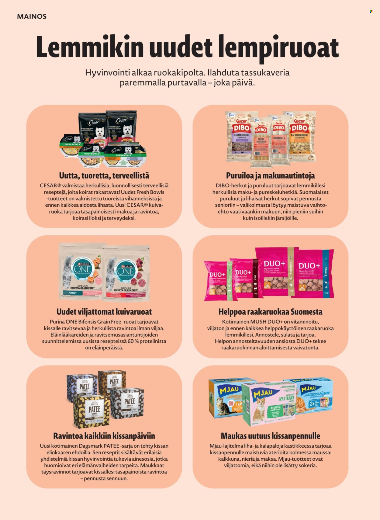 K-citymarket tarjoukset - 30.09.2026 - 03.11.2026. Sivu 60