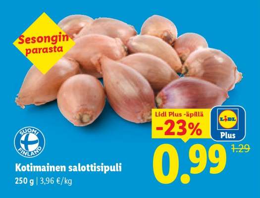 Kotimainen salottisipuli
