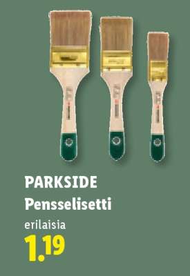 PARKSIDE Pensselisetti