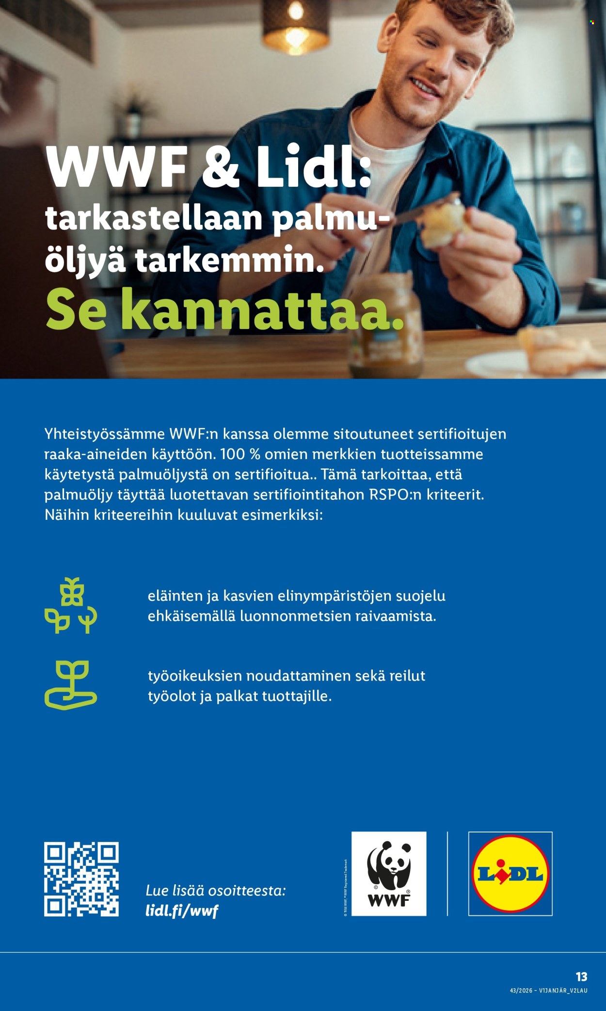 Lidl tarjoukset - 22.10.2026 - 25.10.2026. Sivu 17